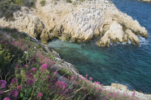 Vyhlídka na moře na ostrově Rattoneau